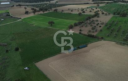 Çanakkale Halileli Köyü Satılık 11.050 M² Tarla !