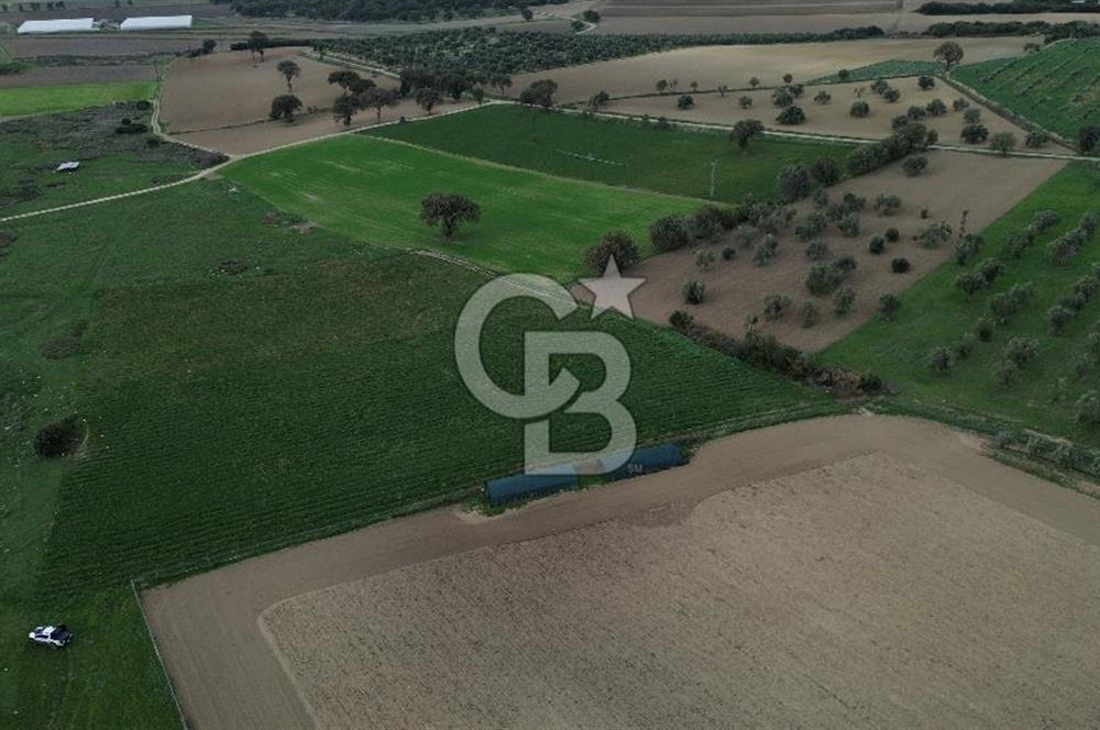 Çanakkale Halileli Köyü Satılık 11.050 M² Tarla !