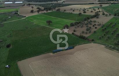 Çanakkale Halileli Köyü Satılık 11.050 M² Tarla !