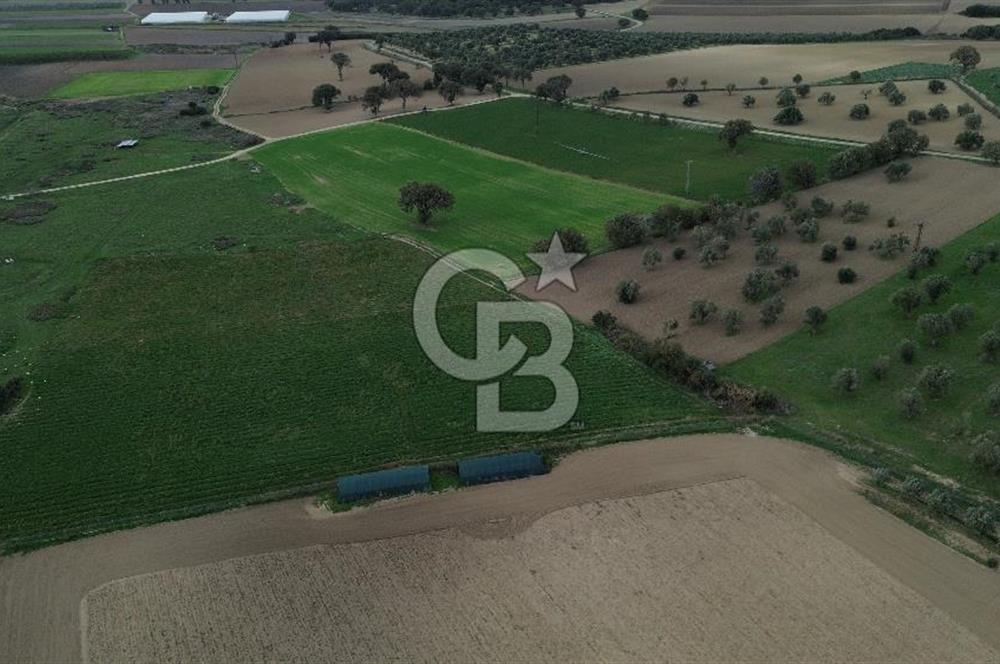 Çanakkale Halileli Köyü Satılık 11.050 M² Tarla !