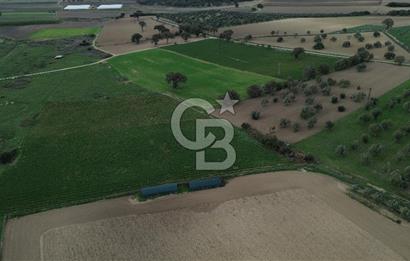 Çanakkale Halileli Köyü Satılık 11.050 M² Tarla !