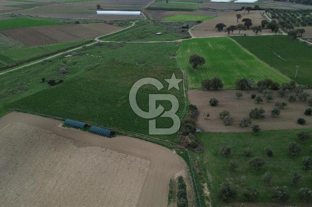 Çanakkale Halileli Köyü Satılık 11.050 M² Tarla !