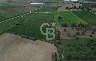 Çanakkale Halileli Köyü Satılık 11.050 M² Tarla !