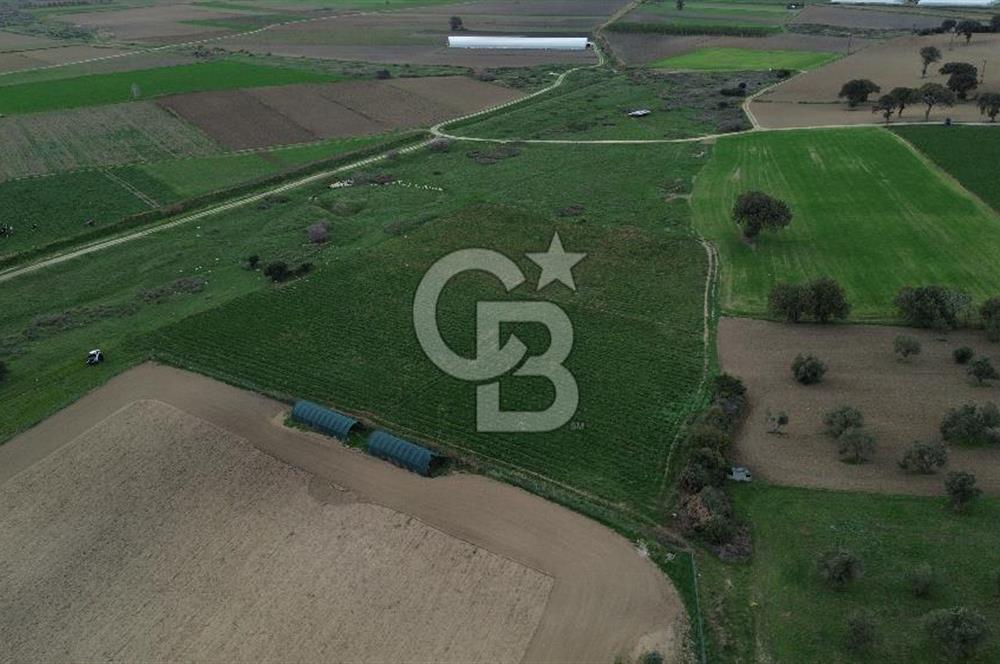 Çanakkale Halileli Köyü Satılık 11.050 M² Tarla !