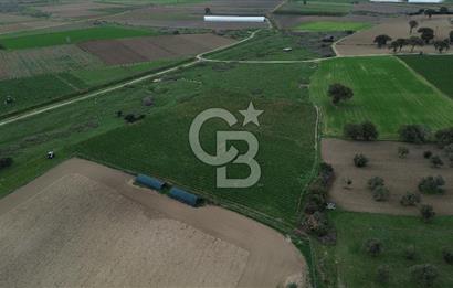 Çanakkale Halileli Köyü Satılık 11.050 M² Tarla !