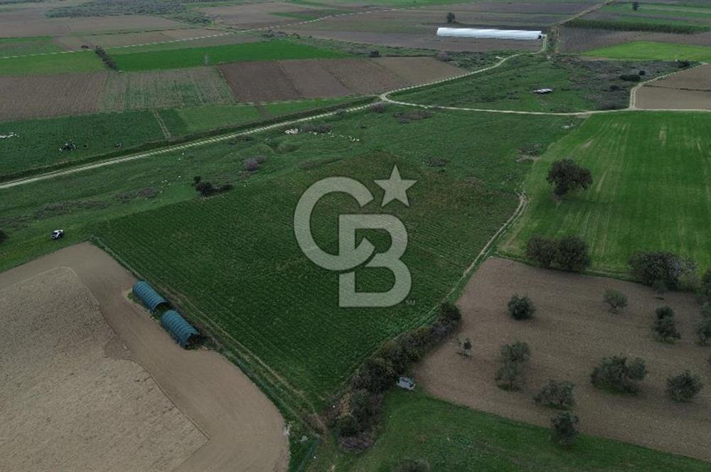 Çanakkale Halileli Köyü Satılık 11.050 M² Tarla !