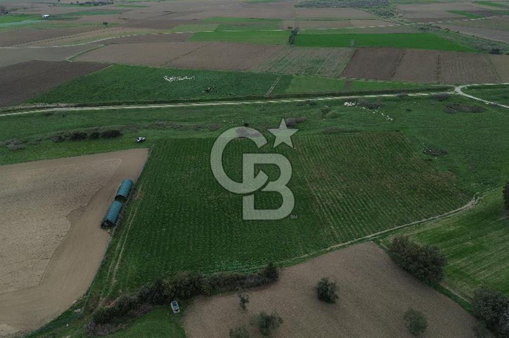 Çanakkale Halileli Köyü Satılık 11.050 M² Tarla !