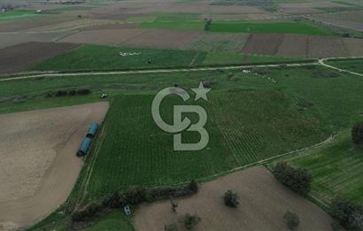 Çanakkale Halileli Köyü Satılık 11.050 M² Tarla !