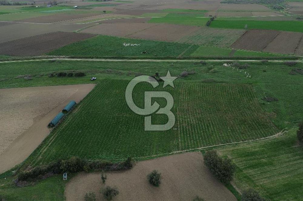Çanakkale Halileli Köyü Satılık 11.050 M² Tarla !