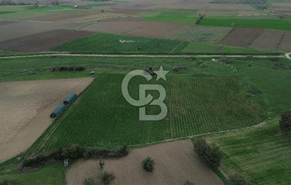 Çanakkale Halileli Köyü Satılık 11.050 M² Tarla !
