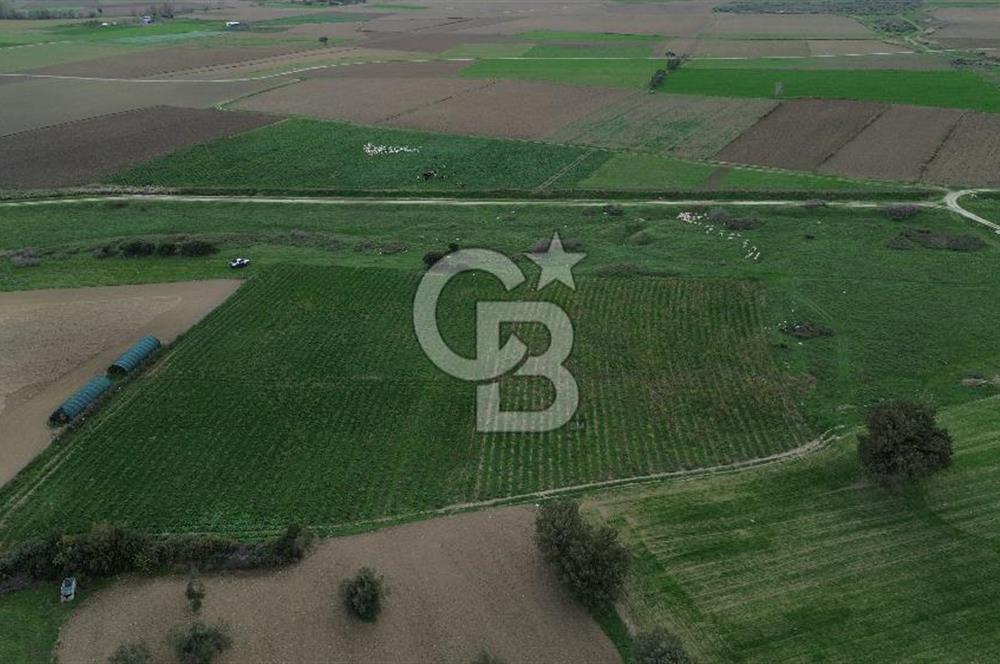 Çanakkale Halileli Köyü Satılık 11.050 M² Tarla !