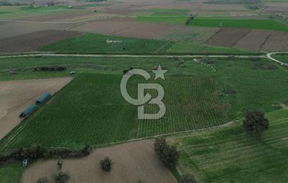 Çanakkale Halileli Köyü Satılık 11.050 M² Tarla !