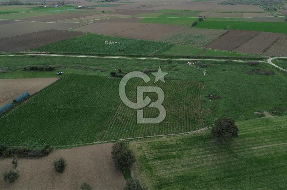 Çanakkale Halileli Köyü Satılık 11.050 M² Tarla !