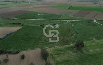 Çanakkale Halileli Köyü Satılık 11.050 M² Tarla !