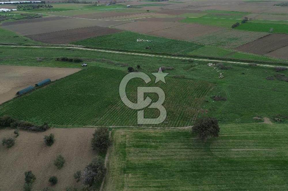 Çanakkale Halileli Köyü Satılık 11.050 M² Tarla !