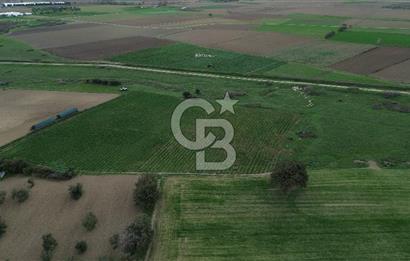 Çanakkale Halileli Köyü Satılık 11.050 M² Tarla !