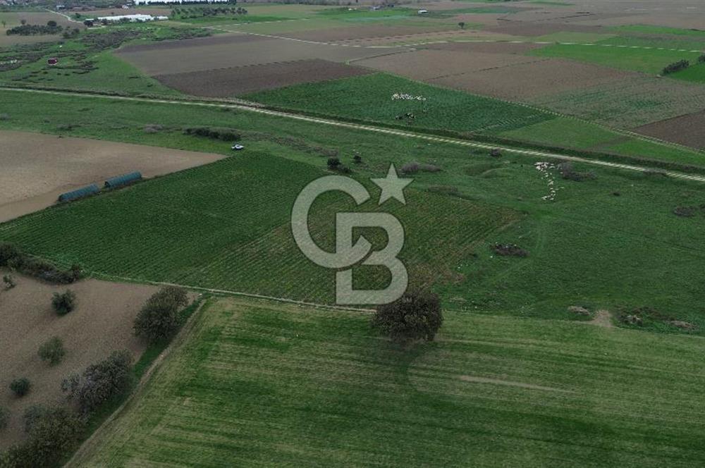 Çanakkale Halileli Köyü Satılık 11.050 M² Tarla !