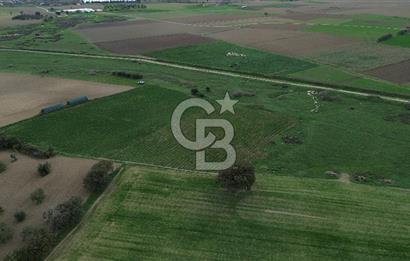 Çanakkale Halileli Köyü Satılık 11.050 M² Tarla !