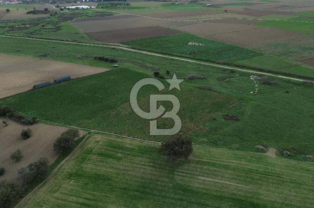 Çanakkale Halileli Köyü Satılık 11.050 M² Tarla !