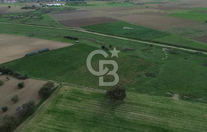 Çanakkale Halileli Köyü Satılık 11.050 M² Tarla !