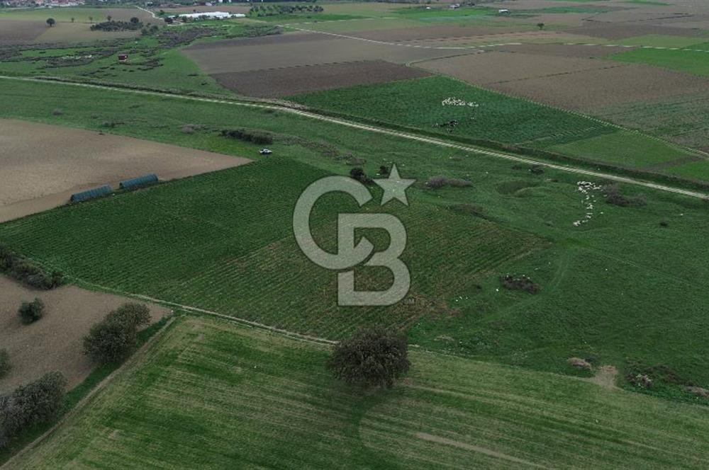 Çanakkale Halileli Köyü Satılık 11.050 M² Tarla !