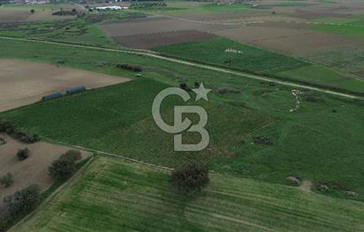 Çanakkale Halileli Köyü Satılık 11.050 M² Tarla !