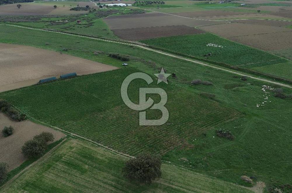 Çanakkale Halileli Köyü Satılık 11.050 M² Tarla !