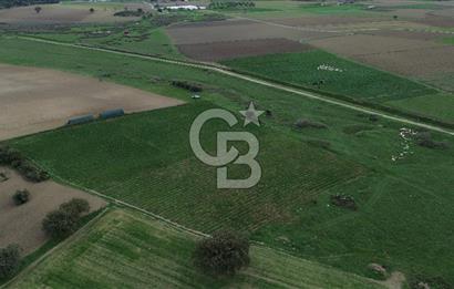 Çanakkale Halileli Köyü Satılık 11.050 M² Tarla !