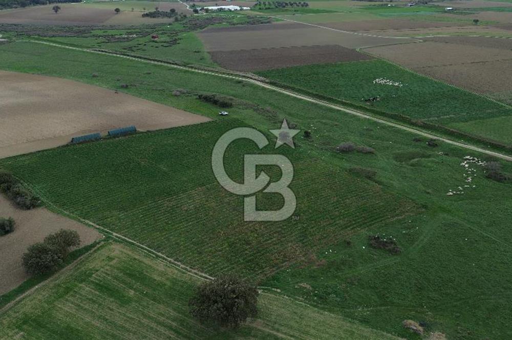 Çanakkale Halileli Köyü Satılık 11.050 M² Tarla !