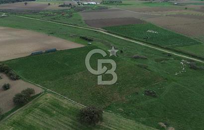 Çanakkale Halileli Köyü Satılık 11.050 M² Tarla !
