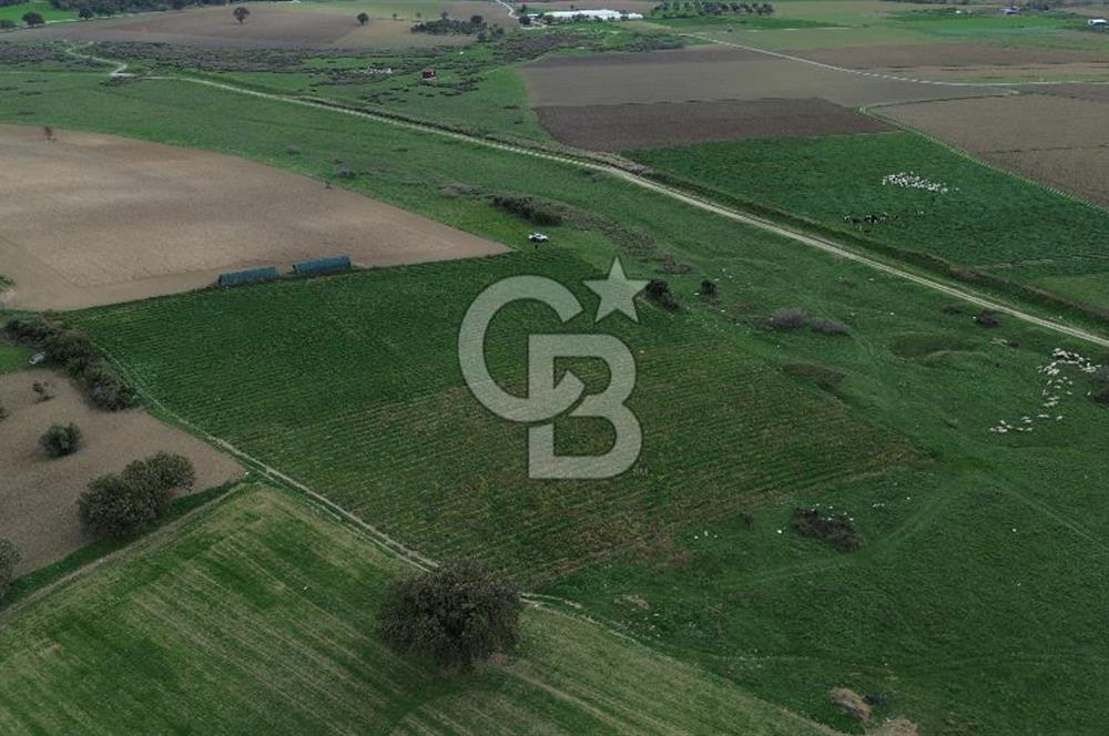 Çanakkale Halileli Köyü Satılık 11.050 M² Tarla !