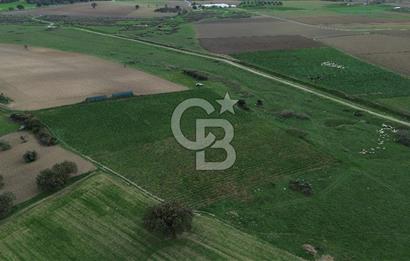 Çanakkale Halileli Köyü Satılık 11.050 M² Tarla !