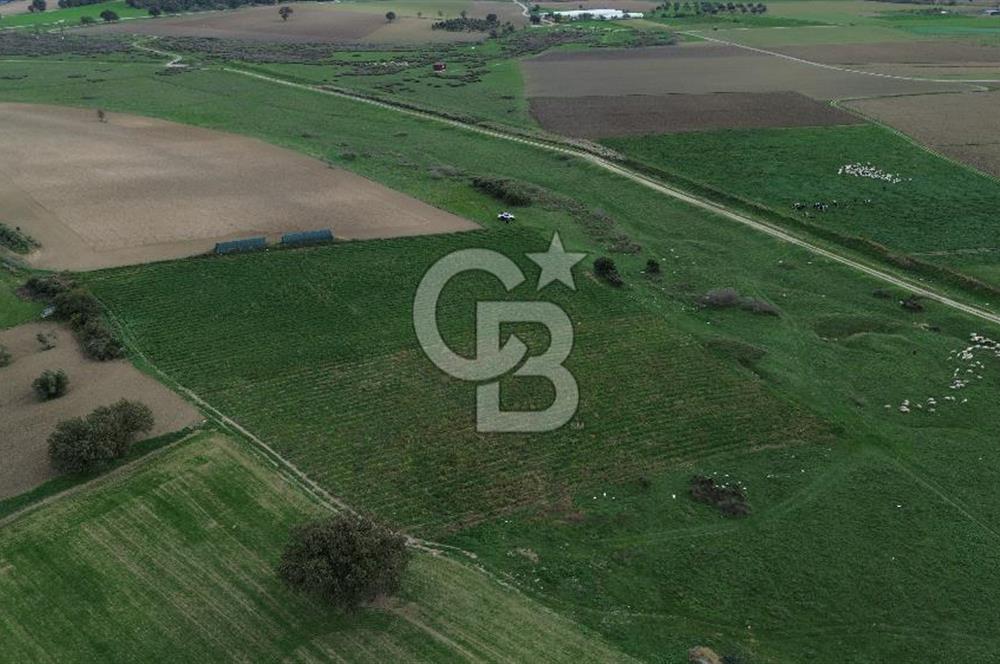 Çanakkale Halileli Köyü Satılık 11.050 M² Tarla !