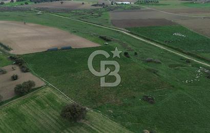 Çanakkale Halileli Köyü Satılık 11.050 M² Tarla !