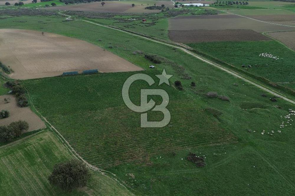 Çanakkale Halileli Köyü Satılık 11.050 M² Tarla !