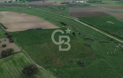 Çanakkale Halileli Köyü Satılık 11.050 M² Tarla !