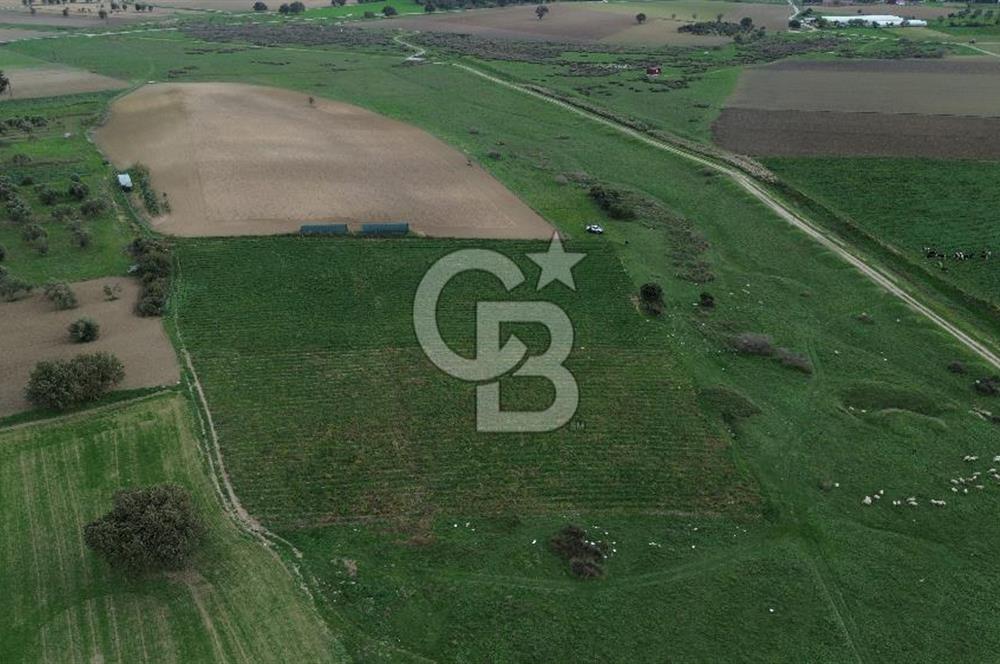 Çanakkale Halileli Köyü Satılık 11.050 M² Tarla !