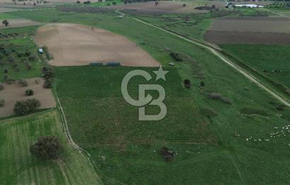 Çanakkale Halileli Köyü Satılık 11.050 M² Tarla !
