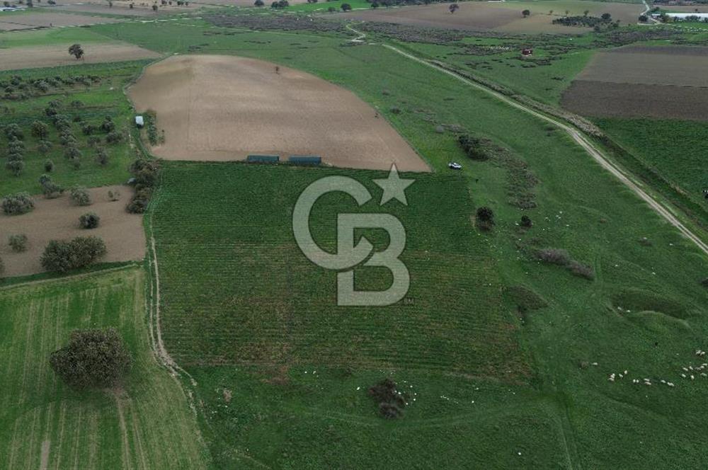 Çanakkale Halileli Köyü Satılık 11.050 M² Tarla !