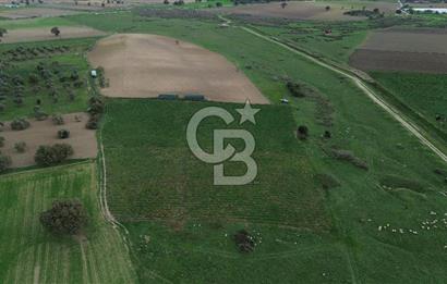 Çanakkale Halileli Köyü Satılık 11.050 M² Tarla !