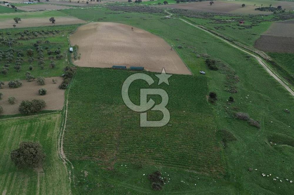 Çanakkale Halileli Köyü Satılık 11.050 M² Tarla !