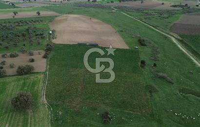 Çanakkale Halileli Köyü Satılık 11.050 M² Tarla !