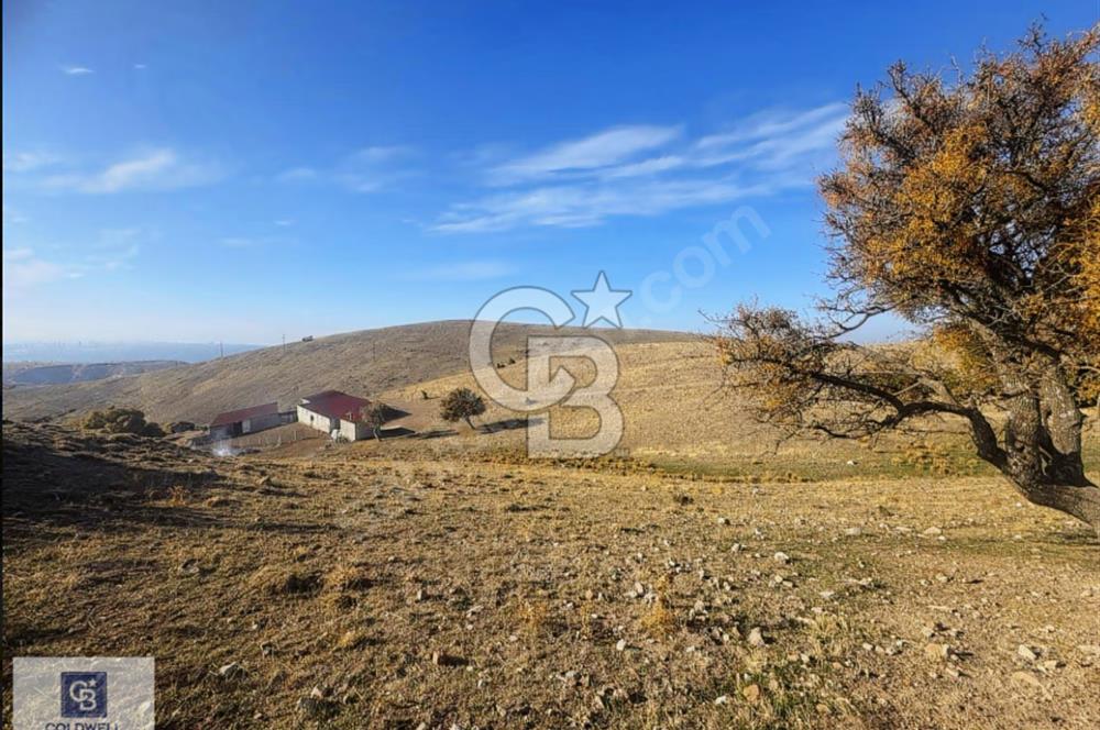 FERAH, SESSİZ VE DEĞER KAZANAN BÖLGE : PANORAMİK MANZARALI YATIR