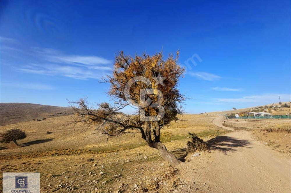 FERAH, SESSİZ VE DEĞER KAZANAN BÖLGE : PANORAMİK MANZARALI YATIR