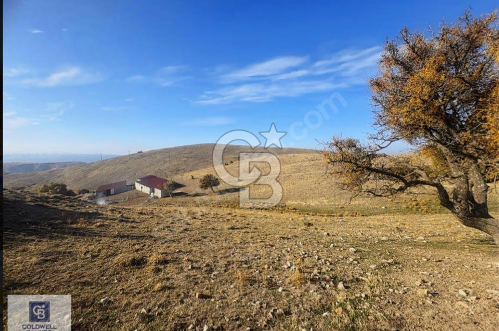 FERAH, SESSİZ VE DEĞER KAZANAN BÖLGE : PANORAMİK MANZARALI YATIR