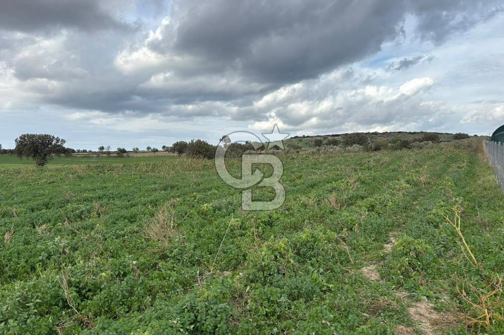 Çanakkale Halileli Köyü Satılık 11.050 M² Tarla !