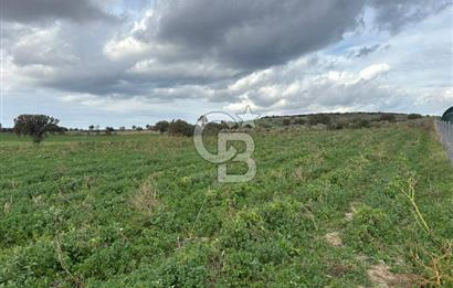 Çanakkale Halileli Köyü Satılık 11.050 M² Tarla !