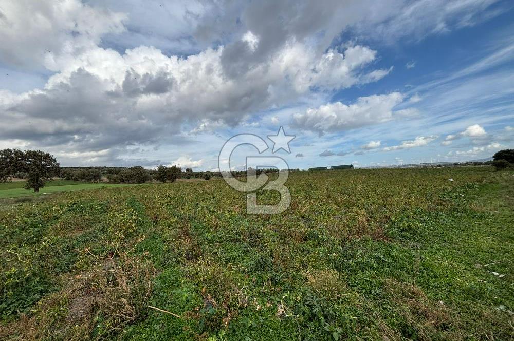 Çanakkale Halileli Köyü Satılık 11.050 M² Tarla !