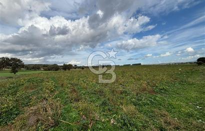 Çanakkale Halileli Köyü Satılık 11.050 M² Tarla !