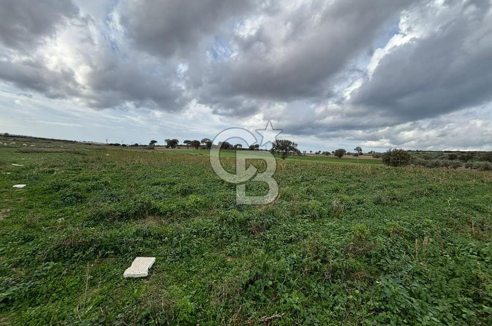 Çanakkale Halileli Köyü Satılık 11.050 M² Tarla !